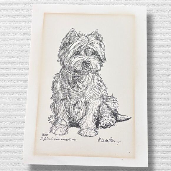 Vintage Original Ink Drawing West Highland White Terrier by G. Marlo Allen 1982 - Picture 1 of 9